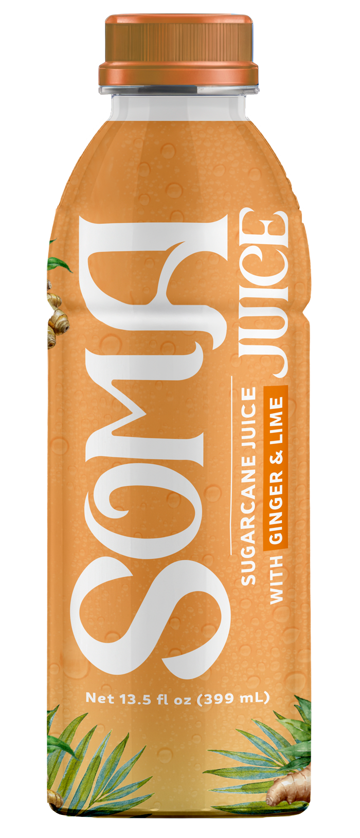 SOMA Ginger